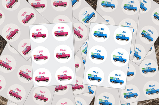 Gender Reveal Ideas, Retro Truck, Baby Blocks Baby Shower, Sticker Sheet, Party Favors, Team Pink, Team Blue, Team Gifts, Boy or Girl Decals