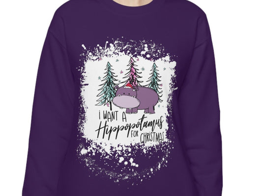 I Want A Hippopotamus For Christmas Sweatshirt, Family Christmas, Ugly Christmas Clothes, Mom Sweatshirt, Winter Sweatshirt, Funny Christmas