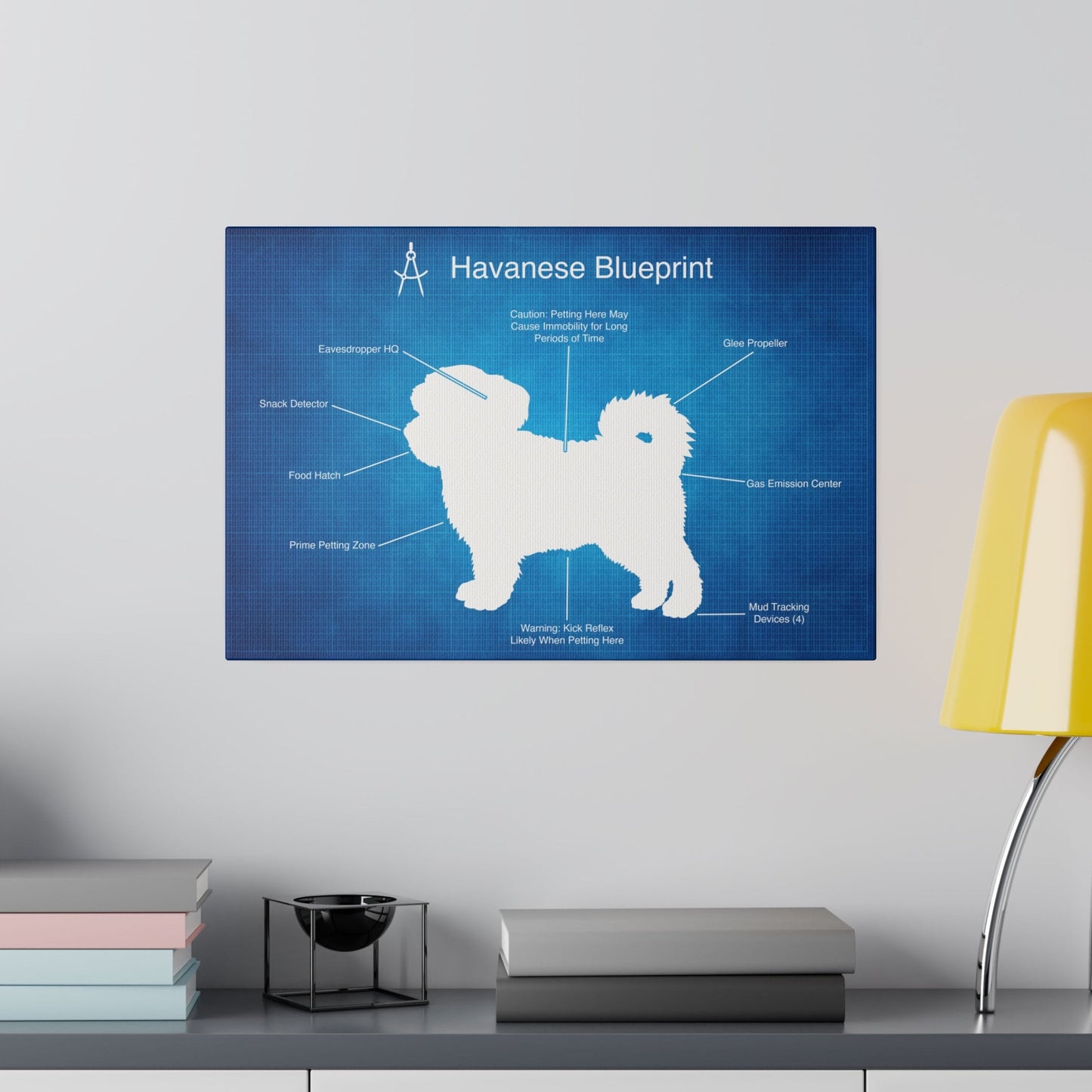 a blueprint of a dog&#39;s features on a wall